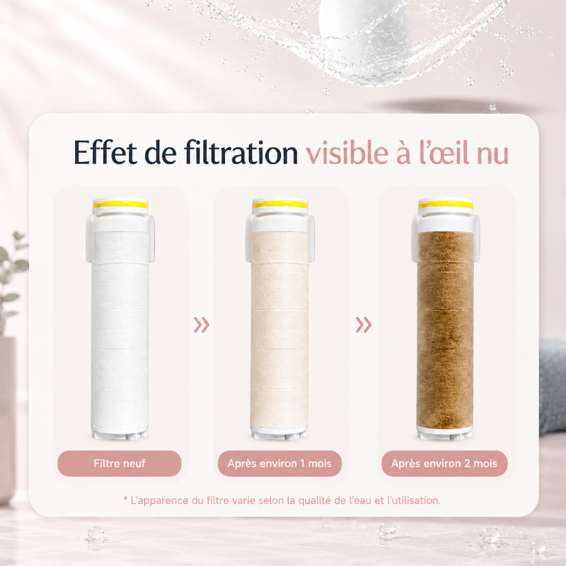 Pommeau de Douche Filtrant